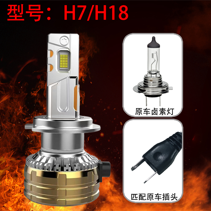 H7.jpg